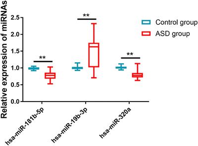 Impact of MicroRNAs in Interaction With Environmental Factors on Autism Spectrum Disorder: An Exploratory Pilot Study